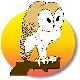 childrens birthday party owl